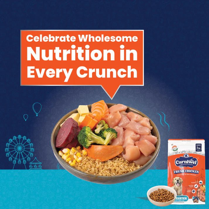 Carniwel with Fresh Chicken, Dry Dog Food for Large Dog, Starter.