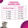 Maxi Adult Ocean Fish Dry Cat Food.