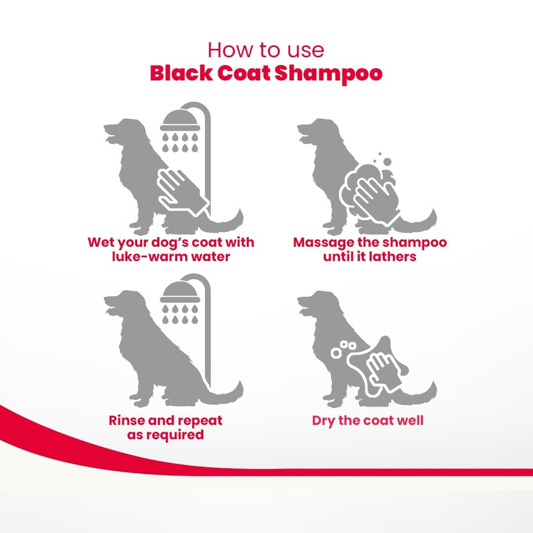 Beaphar Black Coat Dog Shampoo, 250 ml.
