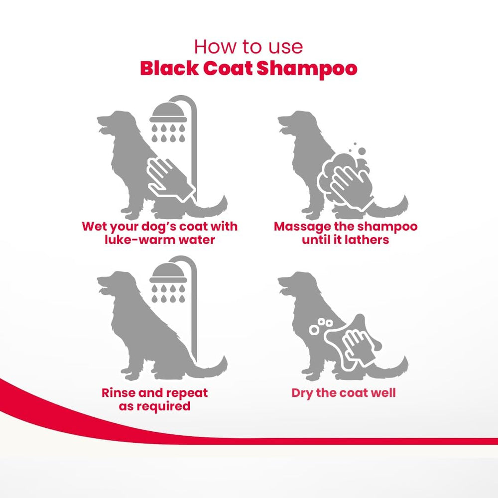 Beaphar Black Coat Dog Shampoo, 250 ml.