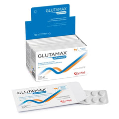 Candioli Glutamax Advanced 10 Tablets, supports pet liver health.