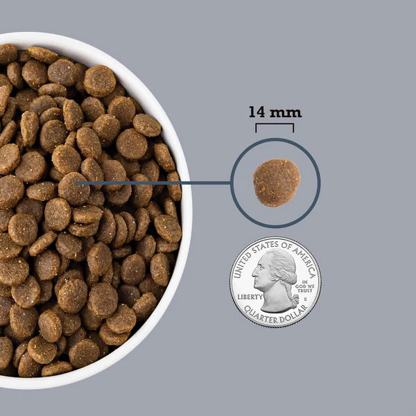 Acana Adult Small Breed Dry Dog Food.