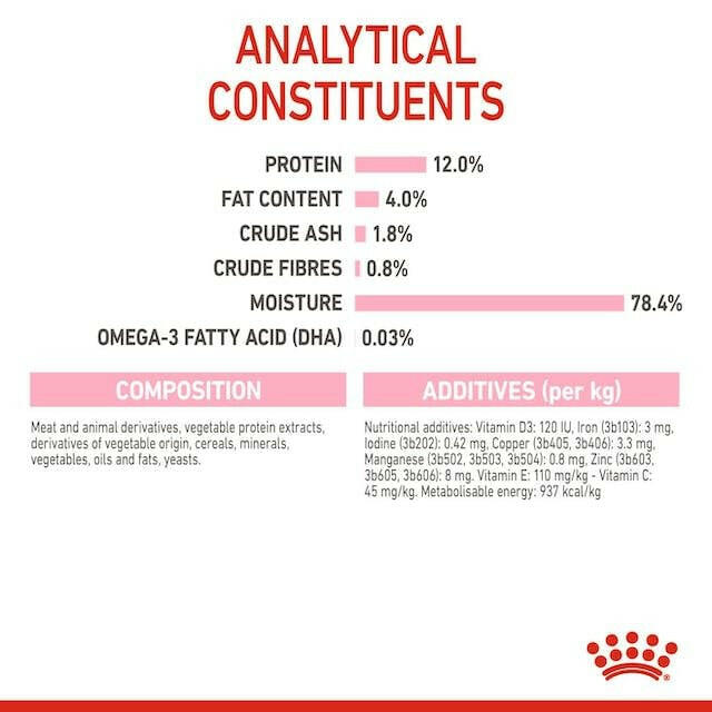 Royal Canin Kitten Instinctive Wet Food.