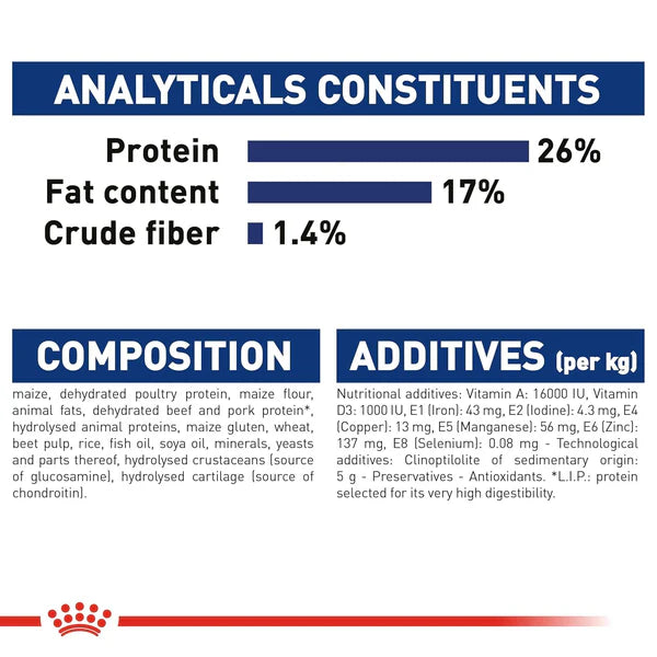 Royal Canin maxi adult meal for large jaws