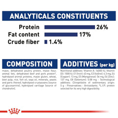 Royal Canin maxi adult meal for large jaws