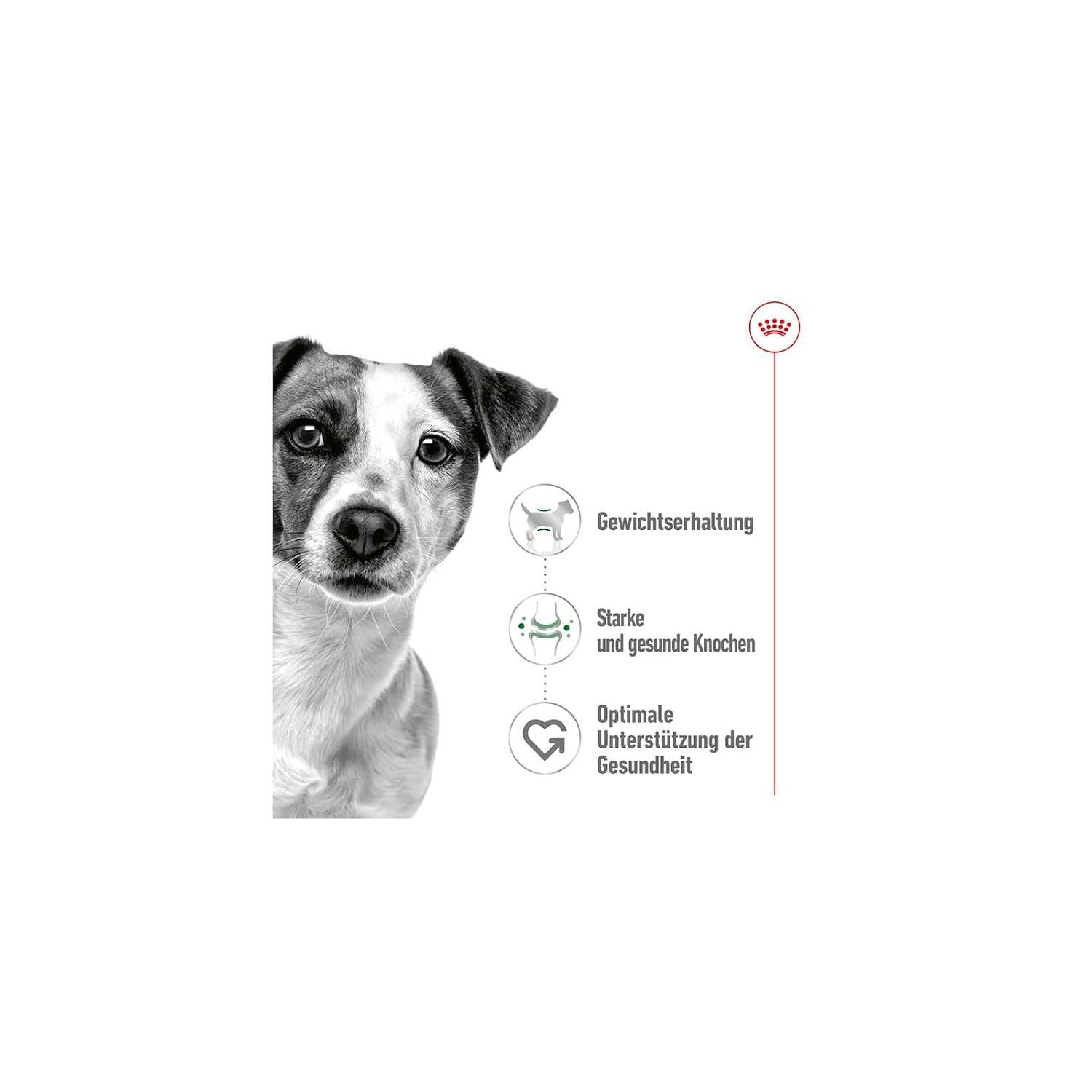 Royal Canin Mini Adult Wet Dog Food.