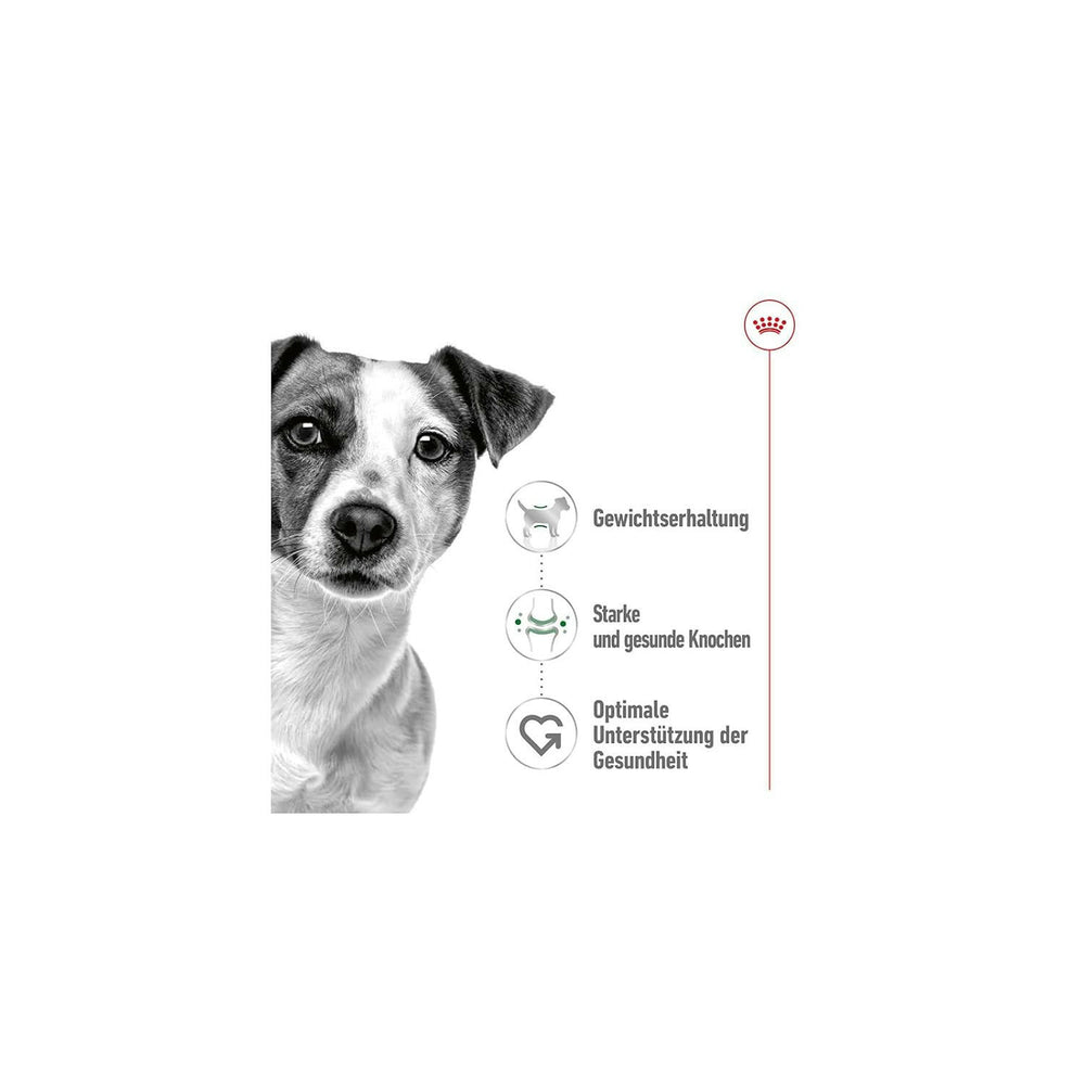 Royal Canin Mini Adult Wet Dog Food.