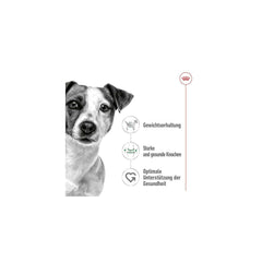 Royal Canin Mini Adult Wet Dog Food.