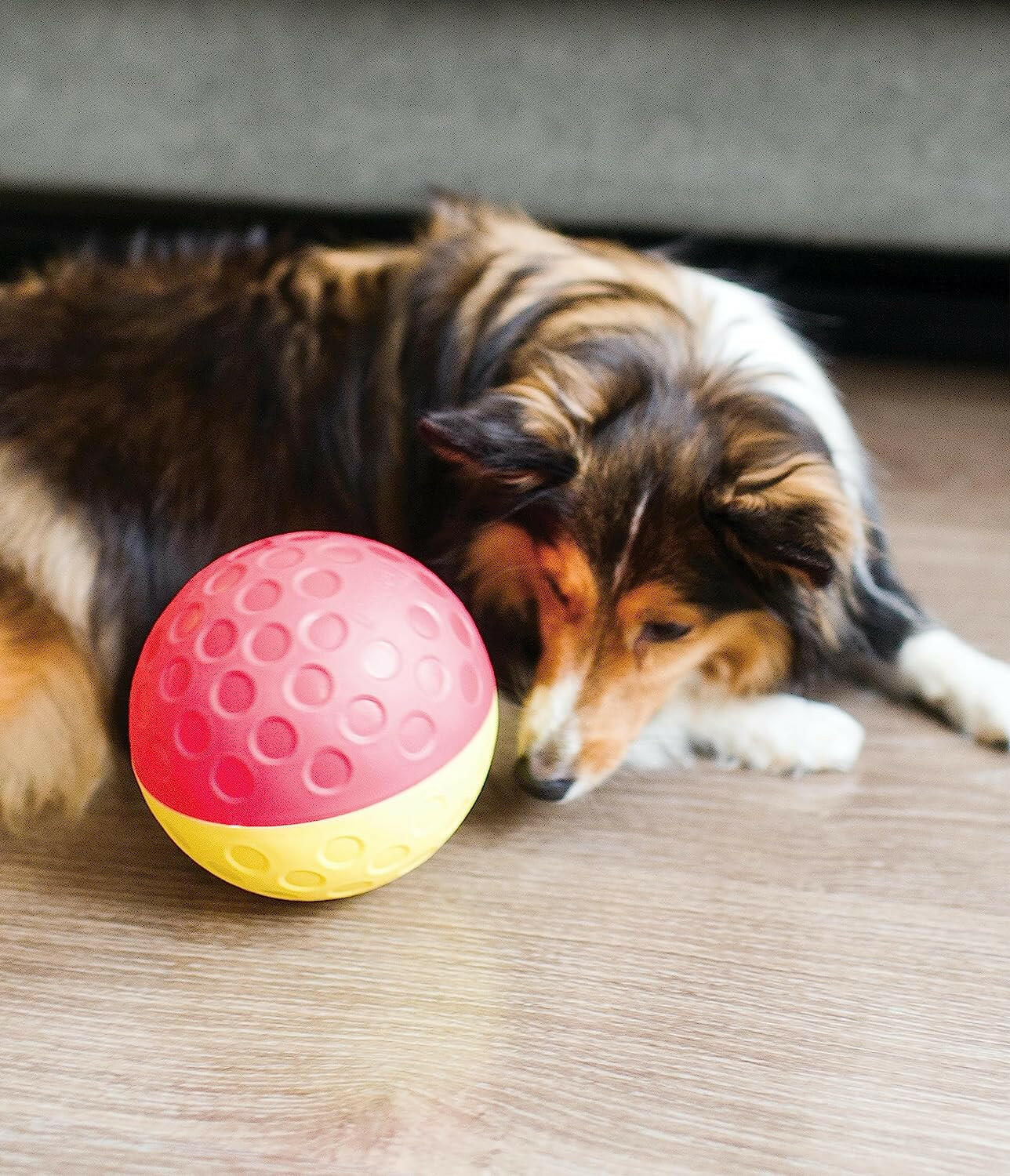 Outward Hound Nina Ottosson Treat Tumble Red Interactive Treat-Dispensing Puzzle Dog Toy, Large.