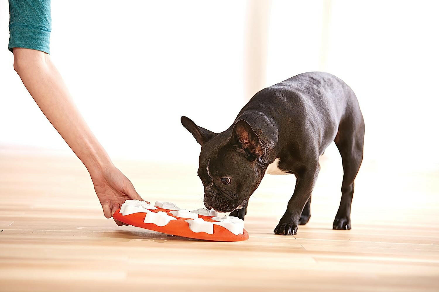 Outward Hound Nina Ottosson Dog Smart Orange Interactive Treat Puzzle Dog Toy.
