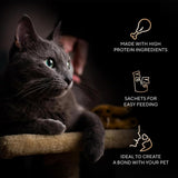 A dark gray cat lying on a beige cat tree perch against a black background, with a human hand gently petting its head. Three gold outline text callouts on the right read: 'MADE WITH HIGH PROTEIN INGREDIENTS,' 'SACHETS FOR EASY FEEDING,' and 'IDEAL TO CREATE A BOND WITH YOUR PET.