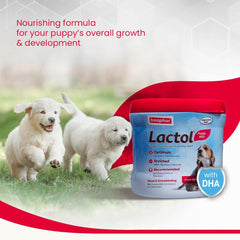 Beaphar Lactol Puppy Milk Replacement Powder.