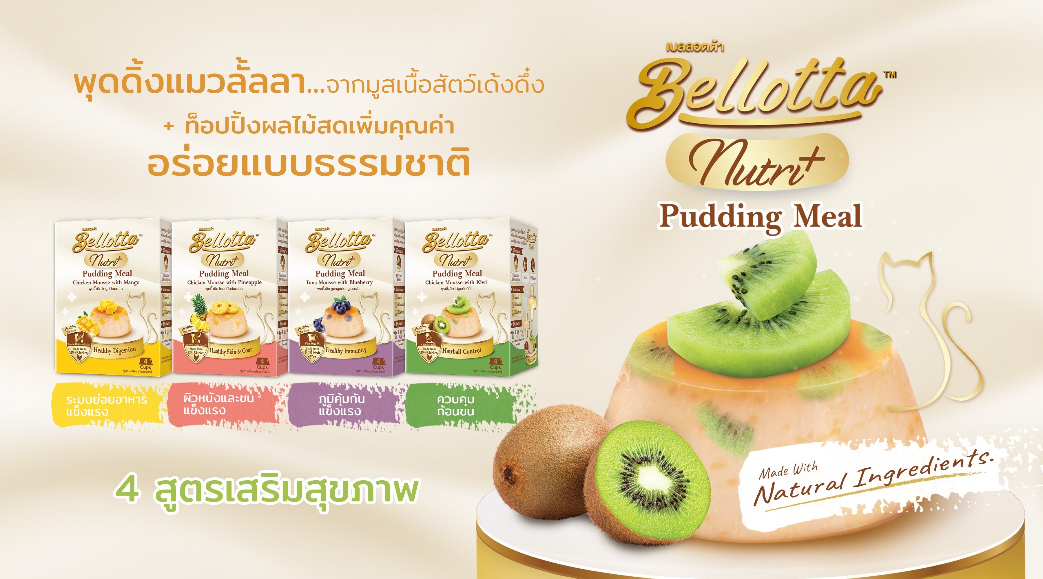 Bellotta Nutri+ Pudding Meal Chicken Mousse with Kiwi.
