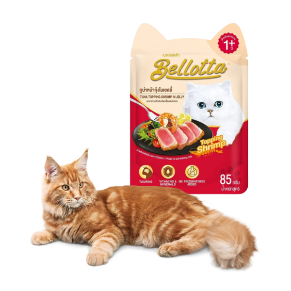 Wet cat food with real tuna and shrimp in jelly
