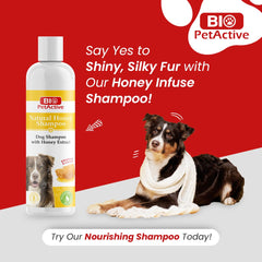 Natural dog wash, Bio Pet, honey extract for healthy skin and shiny coat.
