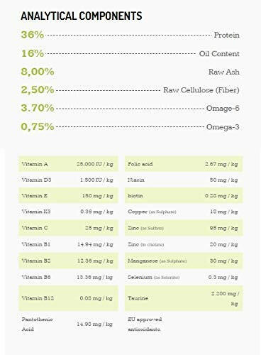 Chicken and rice dry food for cats
