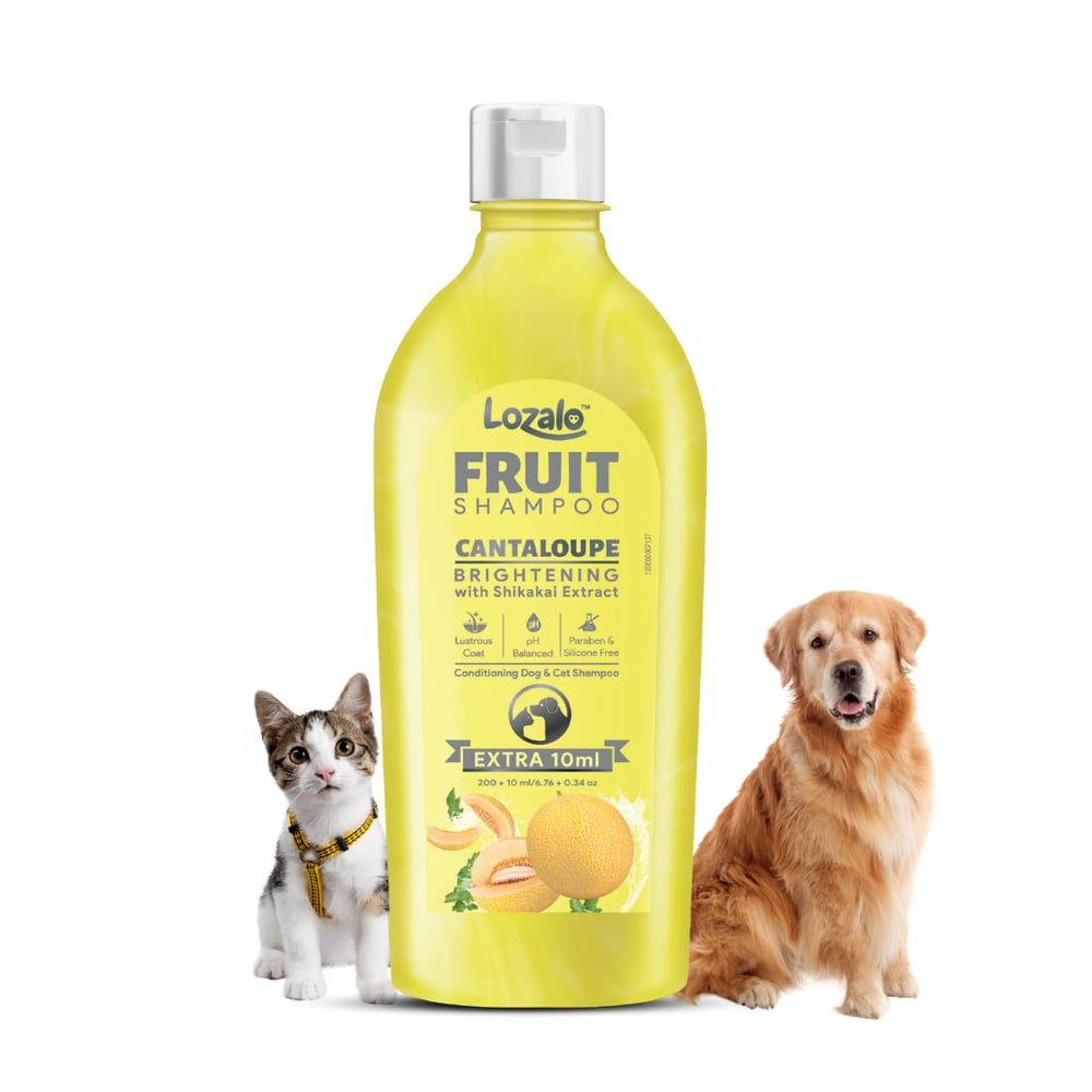 Cantaloupe conditioning shampoo, cleans and conditions fur.