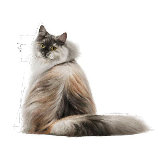 Royal Canin Hair and Skin Care Adult Dry Cat Food.