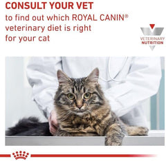 Cat being examined by a veterinarian with Royal Canin branding.