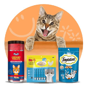 lots of cat treats in one banner
