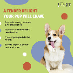 Chip Chops Chicken Tenders Dog Treats.