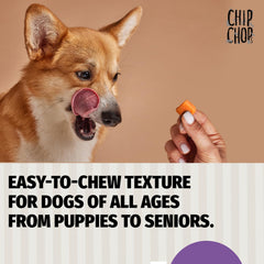 Chip Chops Diced Chicken Dog Treats.
