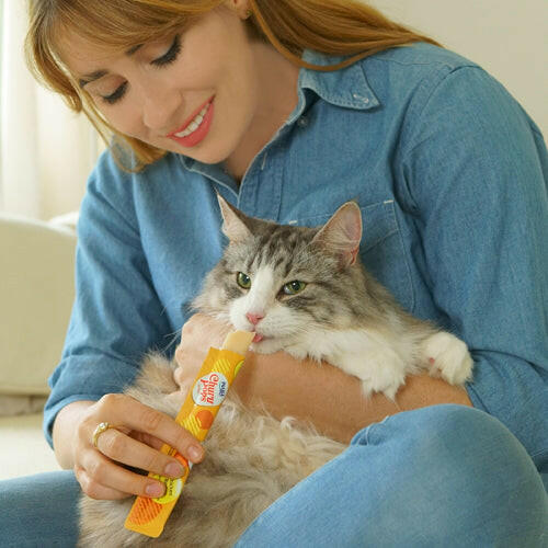INABA Churu Juicy Bites Chicken Flavor Cat Treats USA712A, 33.9 g (Pack of 1).