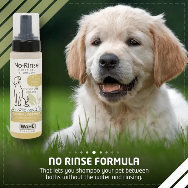 Dog with a bottle of Wahl no-rinse shampoo on a green background