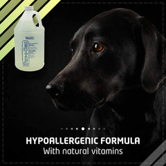 Black dog with a bottle of Walmic product on a black background, featuring text about a hypoallergenic formula.
