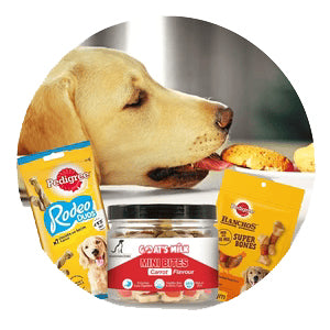 Dog Having Treats
