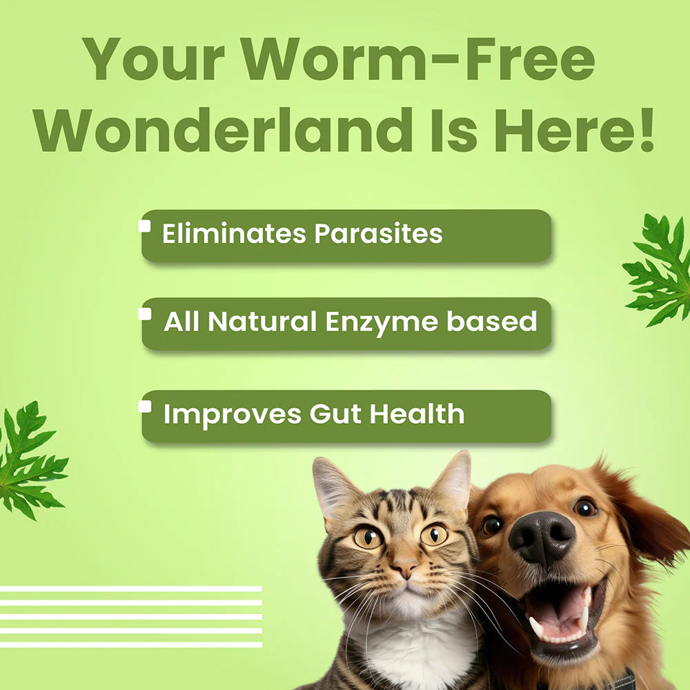 Promotional graphic for a pet product with a cat and dog on a green background.