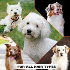 Collage of dogs with text 'FOR ALL HAIR TYPES' on a green background