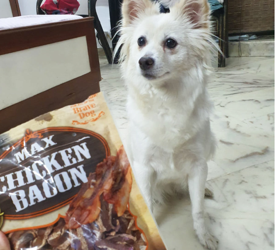 Dogaholic Max Barbeque Chicken Bacon Strips Dog Treats.