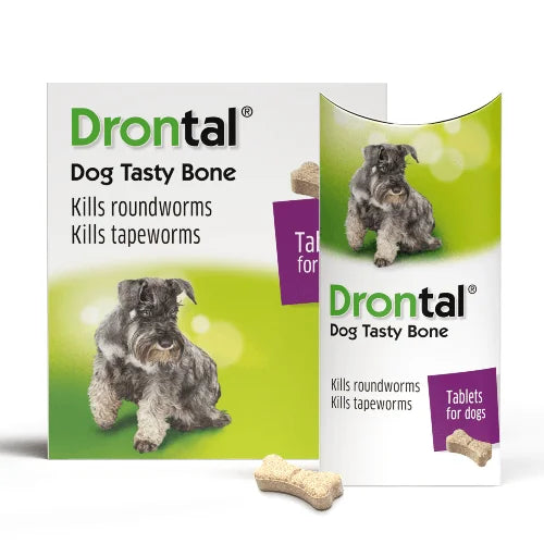 Drontal Dog Tasty Bone packaging with a dog on a green background