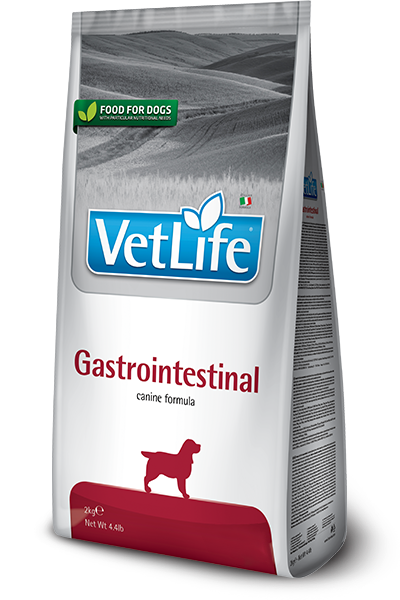 Kibble of Farmina Gastrointestinal dog food