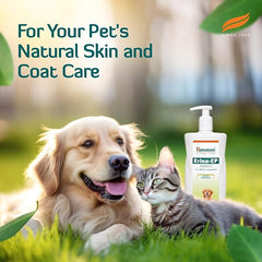 Dog and cat lying on grass with a bottle of Himalaya Erma-EP product, text 'For Your Pet's Natural Skin and Coat Care'.