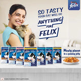 Woman holding a cat with Felix cat food packages and promotional text on a light background
