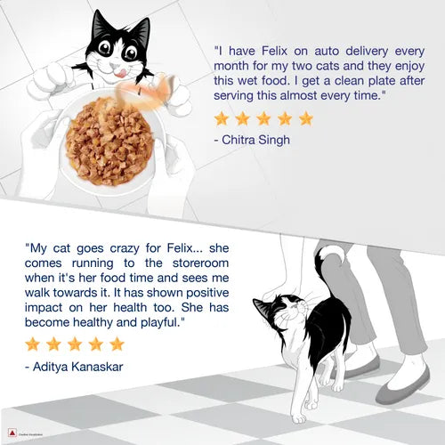 Advertisement for Felix cat food with customer testimonials and a cartoon cat holding a bowl of food.