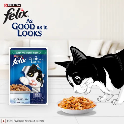 Purina Felix cat food package with a cartoon cat eating from a bowl on a white background