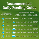 Purina Friskies Chicken Flavoured Puppy Dog Dry Food