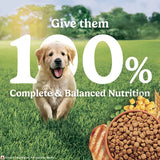 Purina Friskies Chicken Flavoured Puppy Dog Dry Food