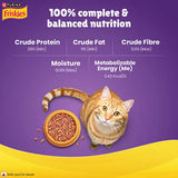 Purina Friskies Surfin' Favourites Adult Cat Dry Food