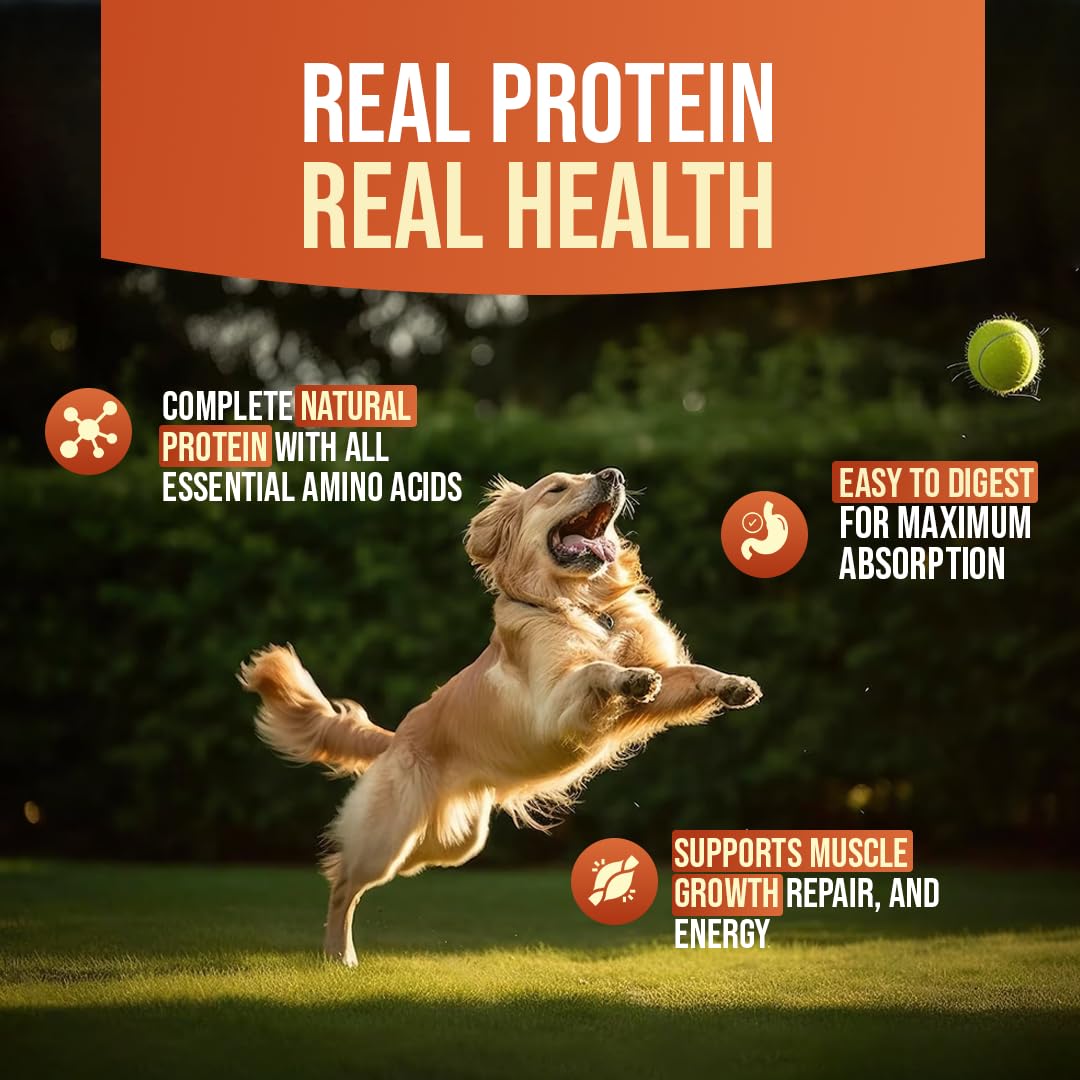 Dog running with a ball in a grassy area, promoting 'Real Protein Real Health' with text about protein benefits.
