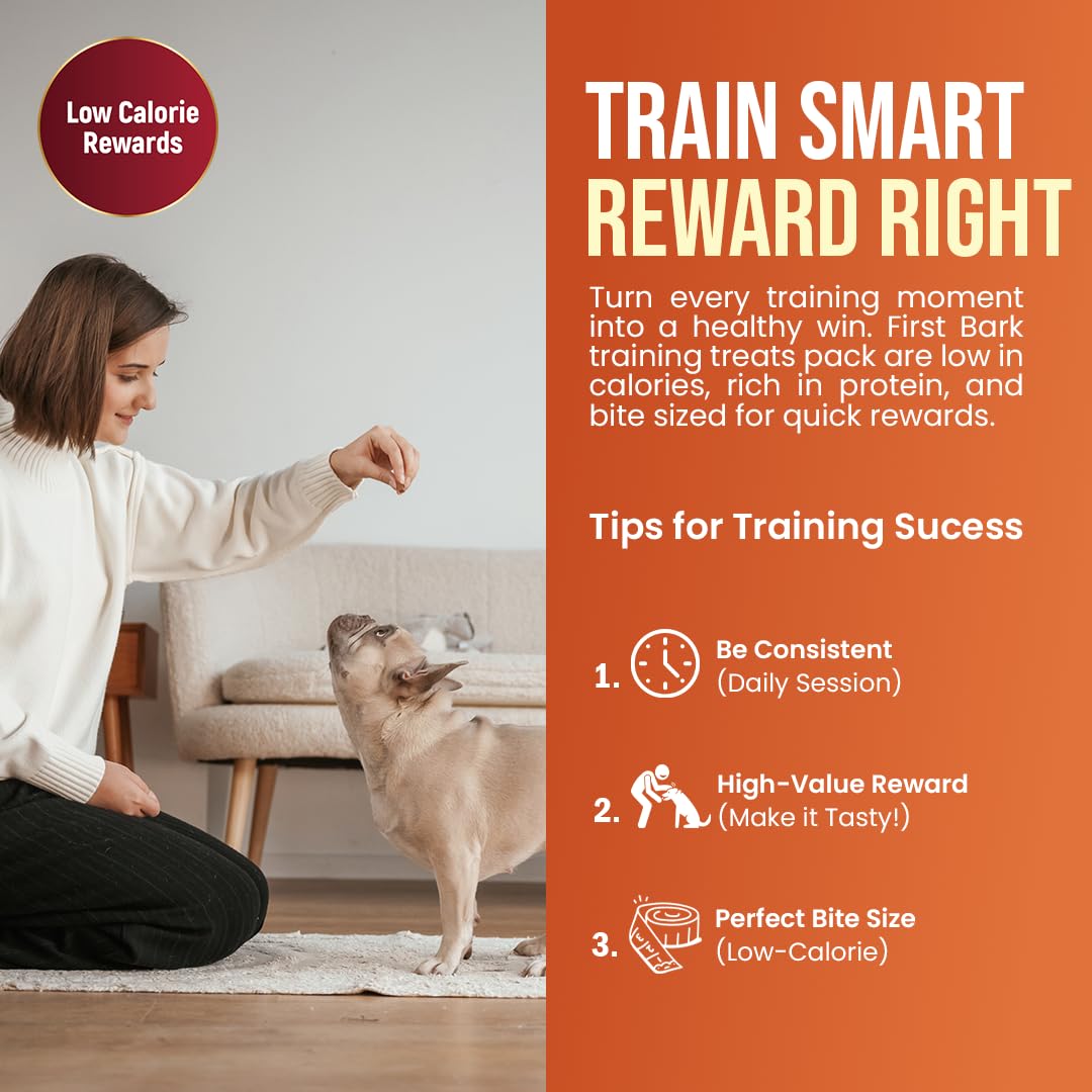 Woman training a dog with treats, accompanied by tips for training success on an orange background.