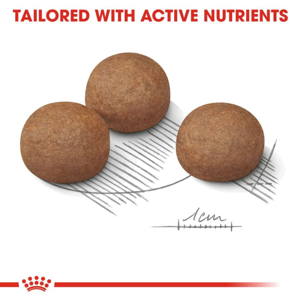 Royal Canin Maxi Digestive Care Dog Dry Food.