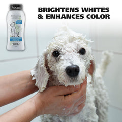 Dog being bathed with a bottle of Wahl Whitening Shampoo on a white background