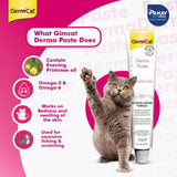 Gimcat Derma Paste packaging with a cat and product details on a pink background