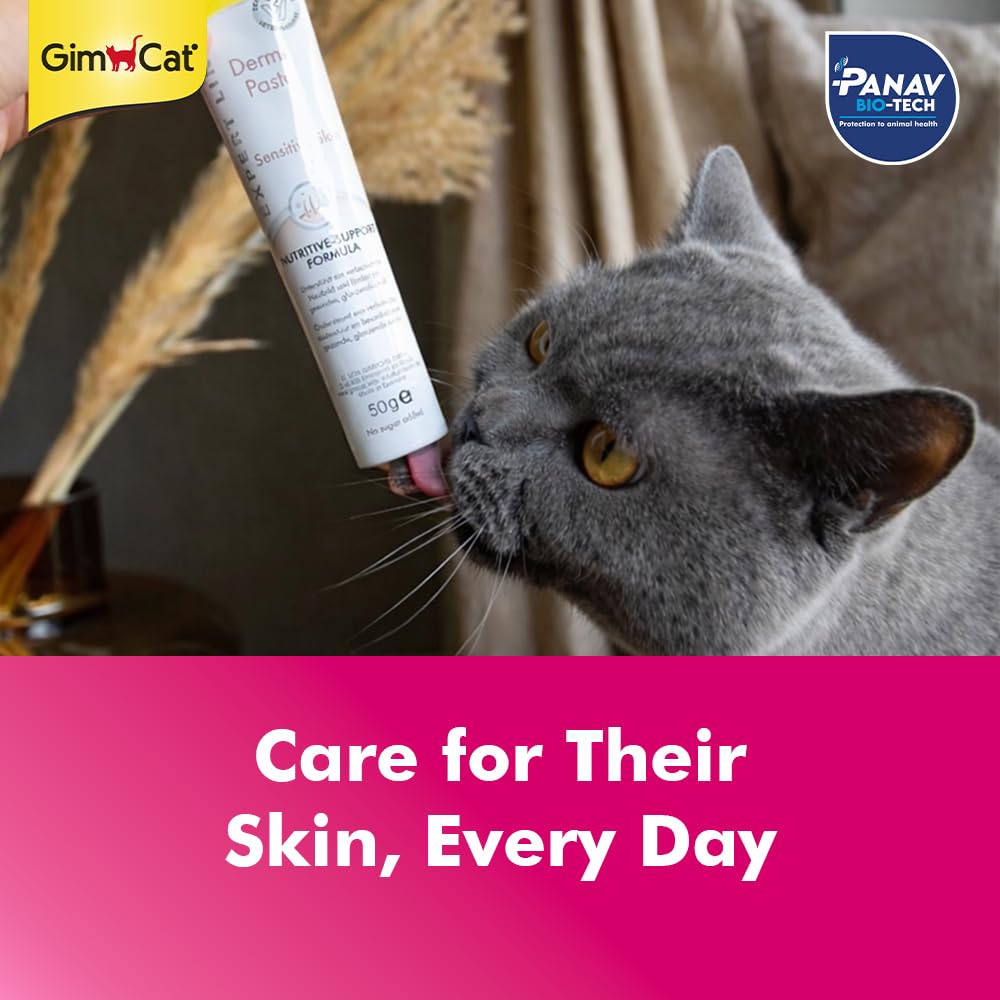 Cat interacting with a tube of dermatological product, with 'GimCat' and 'PANAV' branding.
