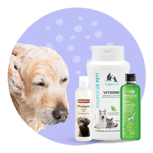 Shampoos for dogs and cats