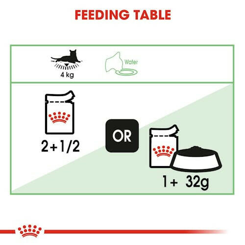 Royal Canin Digestive Sensitive Wet Cat Food – 85g.